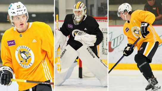 Ranking Penguins' top 10 prospects ... isn't exactly easy taken at PPG Paints Arena (Penguins)